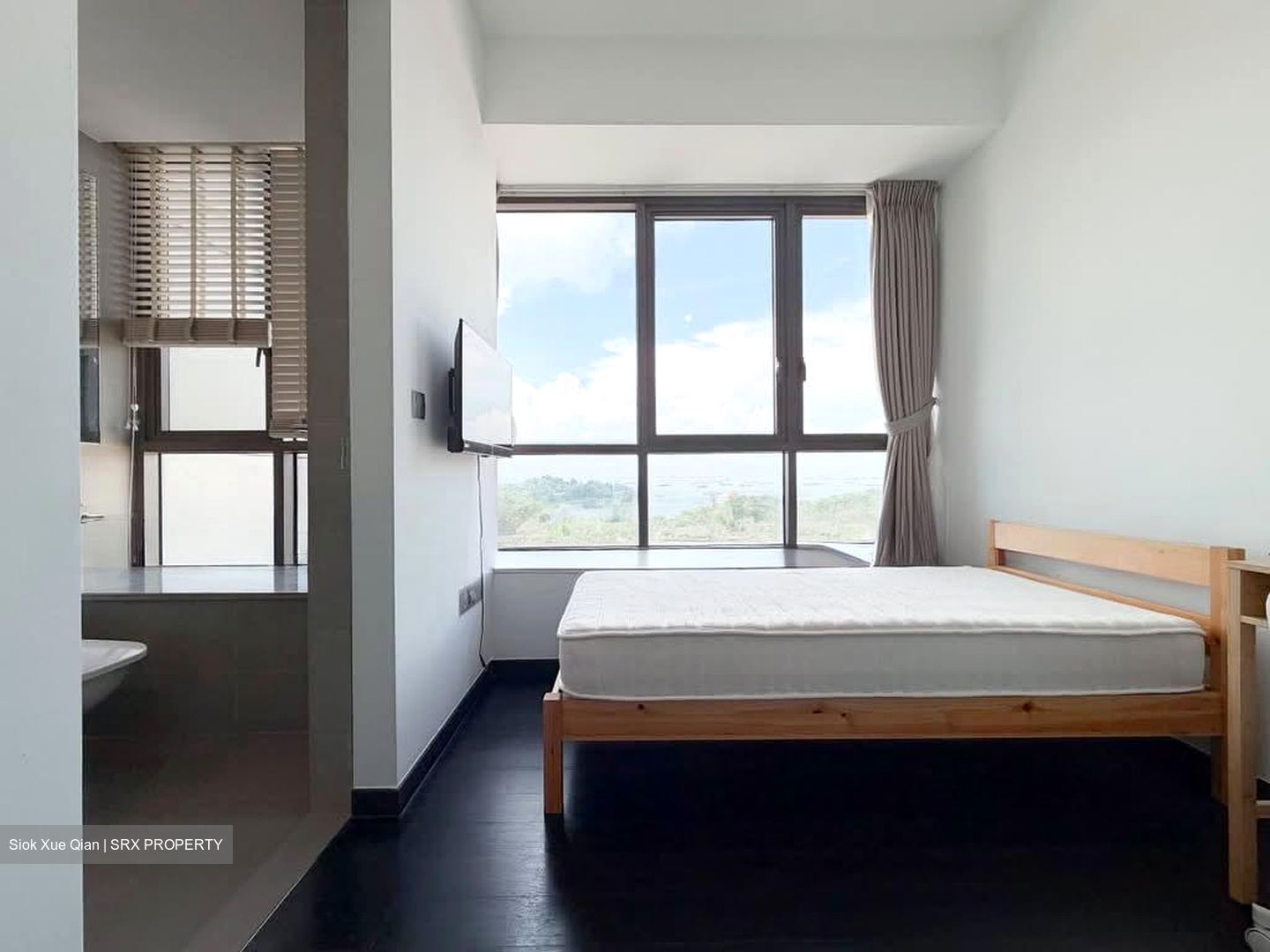 Skyline Residences (D4), Condominium #580285261